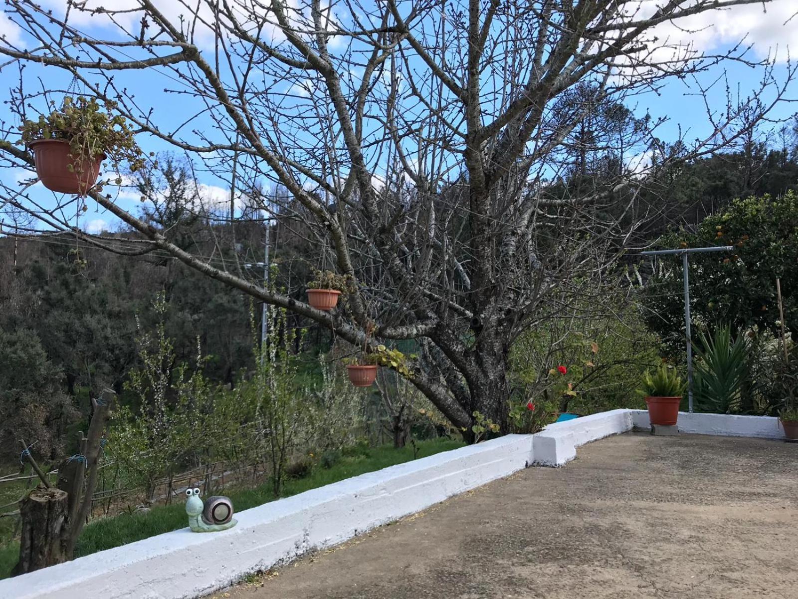 Villa Casas Bemposta Monchique Exterior foto