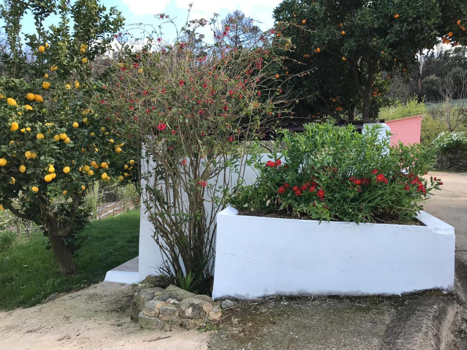 Villa Casas Bemposta Monchique Exterior foto